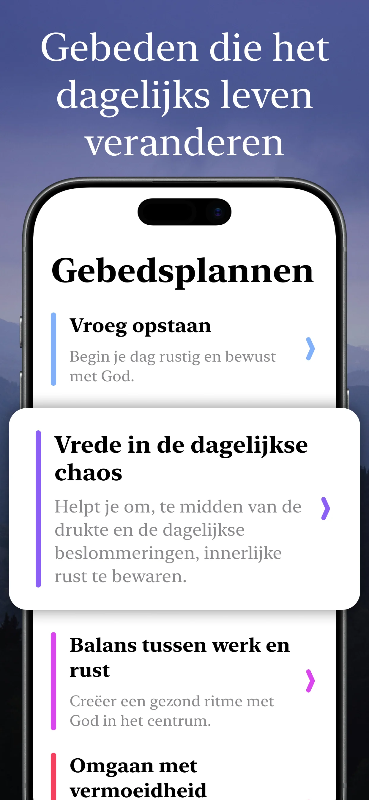 Voorbeeld 4